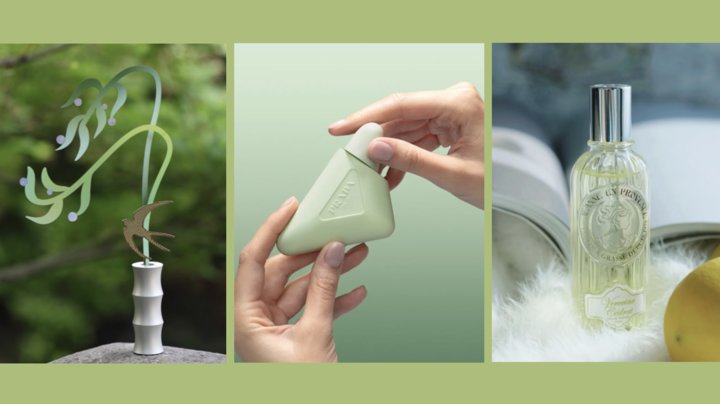 春夏绿色系礼物合集，带来满满的生命力💚